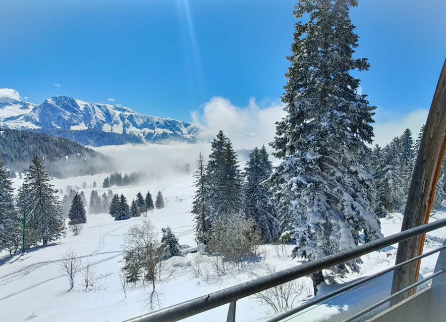 Vue appartements hiver_002.jpg